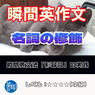 【瞬間英作文:形容詞練習】名詞の修飾を極めよう 【瞬間英作文:形容詞練習】名詞の修飾を極めよう