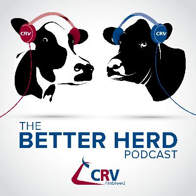 Pregnancy testing for better decision-making