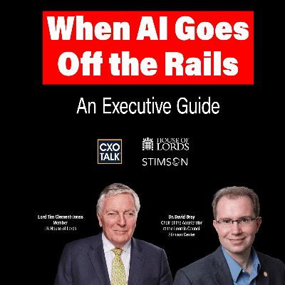 Top AI Ethicists Reveal RISKS of AI Failure | CXOTalk #888