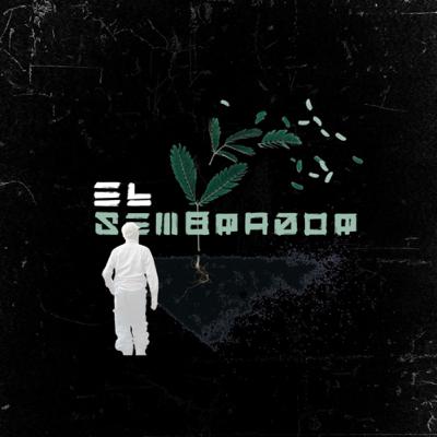 Una prédica “el sembrador, la semilla, y la tierra” Una prédica “el sembrador, la semilla, y la tierra”