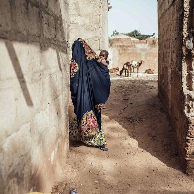 A year after the shuttering of USAID conservation projects fight to stay afloat