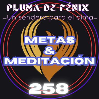 METAS & MEDITACIÓN