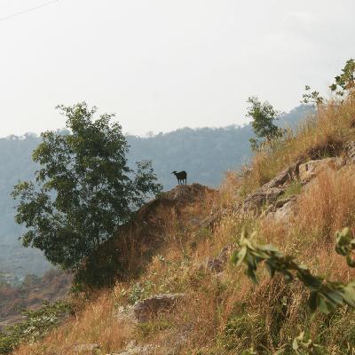 tugas geo aflah fathur XI IPS A