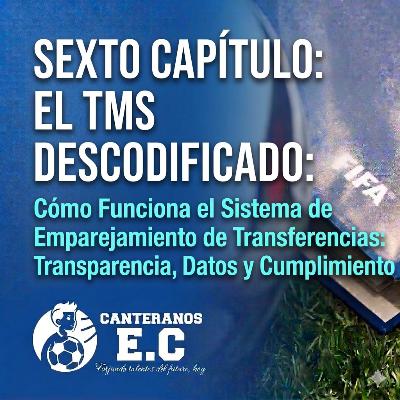 Capítulo 6: El TMS Descodificado – Cómo Funciona el Sistema de Emparejamiento de Transferencias de la FIFA Capítulo 6: El TMS Descodificado – Cómo Funciona el Sistema de Emparejamiento de Transferencias de la FIFA