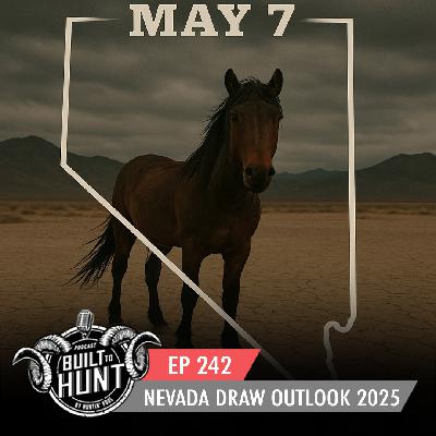 EP 242: Nevada Draw Outlook for 2025