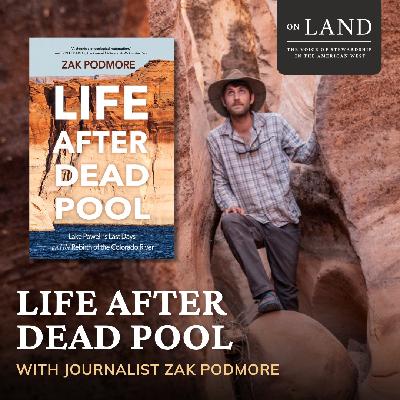 Life after dead pool with Zak Podmore