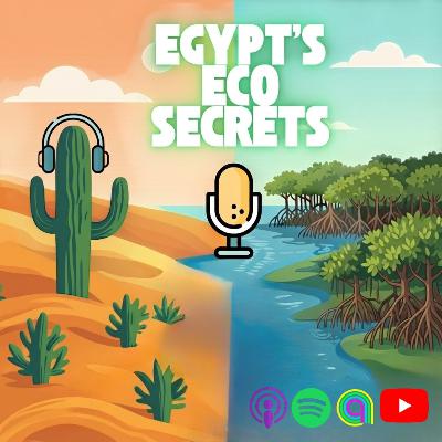 Secrets of the Mangroves : اسرار المنجروف