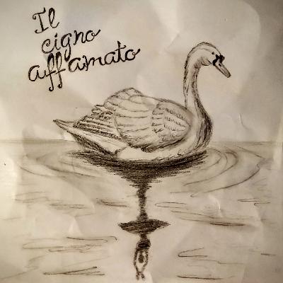 Audio racconto: IL CIGNO AFFAMATO di Mattia Michele De Rinaldis Audio racconto: IL CIGNO AFFAMATO di Mattia Michele De Rinaldis