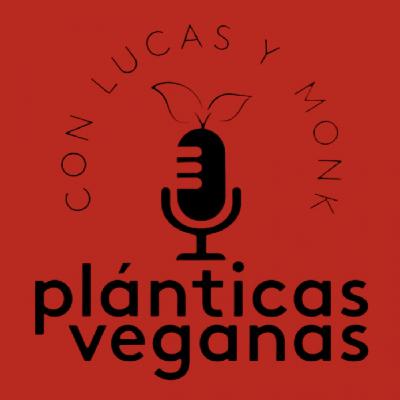 Episodio 2 / Tempodara 2 / Nunca más vas a extrañar el queso!!!
