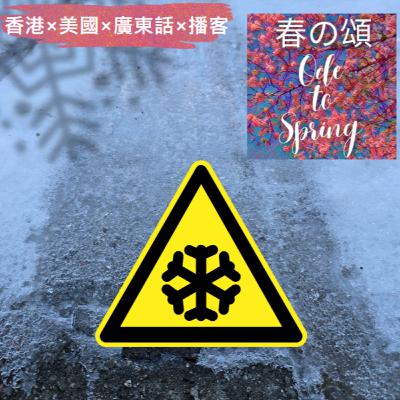 波士頓落雪後又急凍Icy Boston After Snow Day