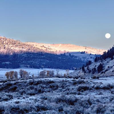 This Week in Yellowstone: October 9th to October 15th, 2025