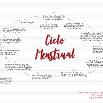 Reprodução humana(II)