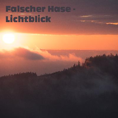 Falscher Hase - Lichtblick (März 2021)
