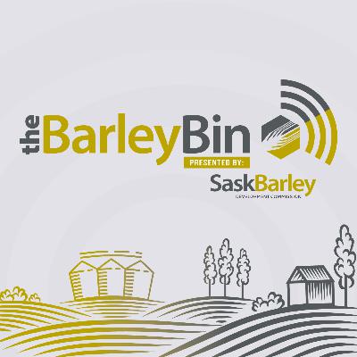 Barley Bin Special Series - Part 3: CDC Churchill - The future of Canadian malting barley