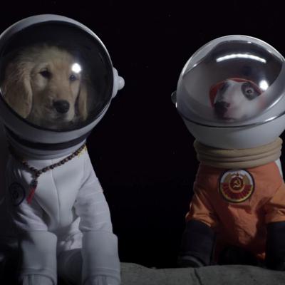 8 - Dogmonauts