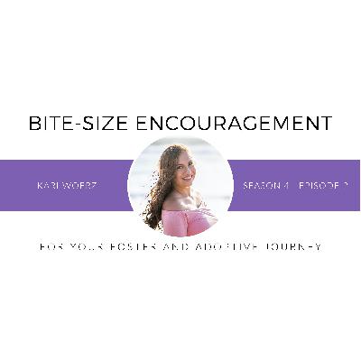 Positive Parenting Strategies for Foster and Adoptive Families Positive Parenting Strategies for Foster and Adoptive Families