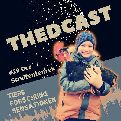 Streifentenrek