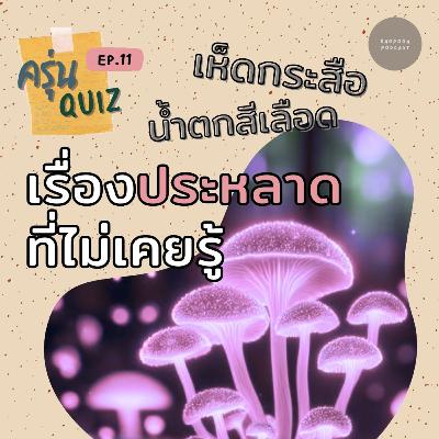 EP.11 เห็ดกระสือ น้ำตกสีเลือด #เรื่องประหลาด ที่อาจไม่รู้ #วิทยาศาสตร์ #ความรู้รอบตัว EP.11 เห็ดกระสือ น้ำตกสีเลือด #เรื่องประหลาด ที่อาจไม่รู้ #วิทยาศาสตร์ #ความรู้รอบตัว
