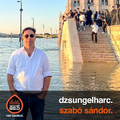 #070 Szabó Sándor – A bizalom logikája