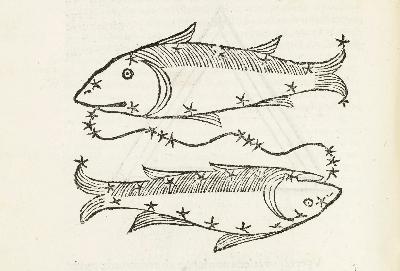 Ep 22: The Slippery Fish Eclipse with Bronwyn Simons