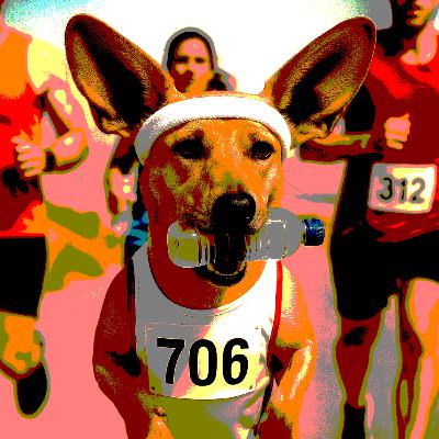 #250 - Maratont futni egy dugu kutyával