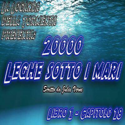 20000 Leghe sotto i mari - Parte 1 - Capitolo 18