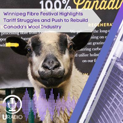 U Radio News: Winnipeg Fibre Festival Highlights Tariff Struggles and Push to Rebuild Canada’s Wool Industry U Radio News: Winnipeg Fibre Festival Highlights Tariff Struggles and Push to Rebuild Canada’s Wool Industry
