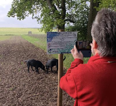 Blühwiesen und so Blühwiesen und so