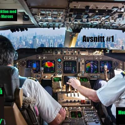 Avsnitt #1 Piloten
