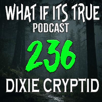 Archive 236 Paranormal