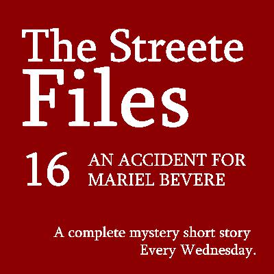 An Accident for Mariel Bevere - File 16 An Accident for Mariel Bevere - File 16