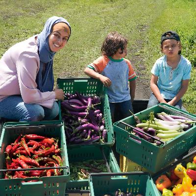 The business side of growing a farm and balancing family with Diane Aboushi of Halal Pastures