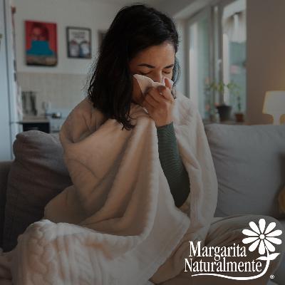 Sistema Inmune en invierno