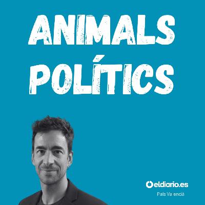 Ep. 11 - Prohibim els cotxes?