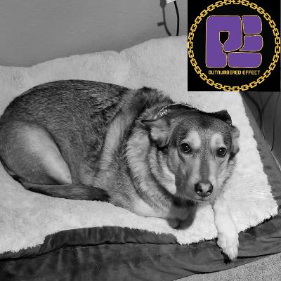 Episode 85: All Dogs Go To Heaven(My letter to Mary) Episode 85: All Dogs Go To Heaven(My letter to Mary)