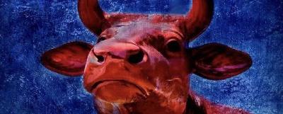 La vaca roja
