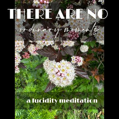 There are no ordinary moments; a lucidity meditation. 19 May, 2023.