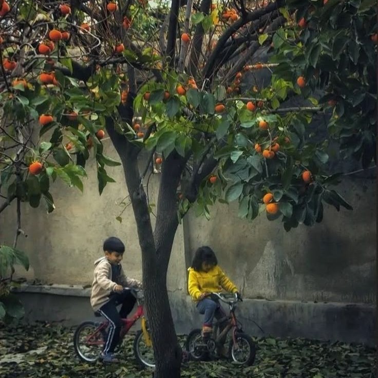 🍁🍁evgeny_grinko_field🍁🍁 🍁🍁evgeny_grinko_field🍁🍁