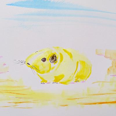 Gundi