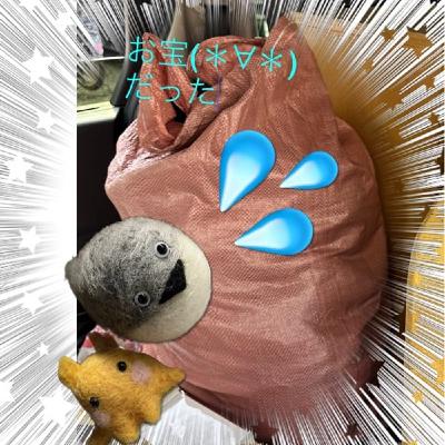 NIK●は捨てずに、○○してみて！