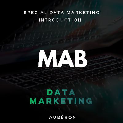 MAB - Special Data Marketing - Introduction
