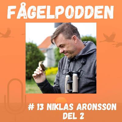 Niklas Aronsson Del 2