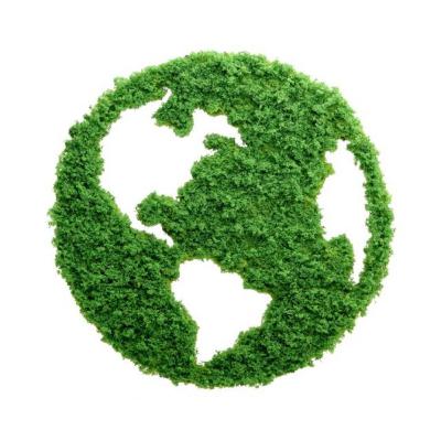 Innovación y sustentabilidad con Gabriela Ensinck 5