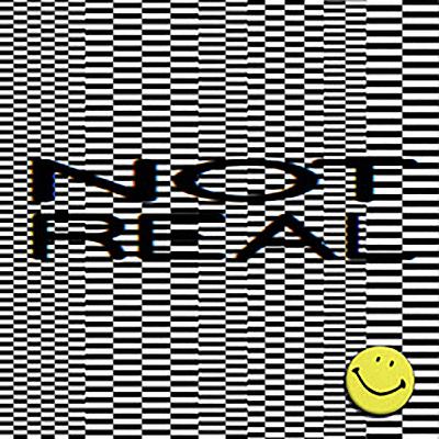 Not Real FM 001