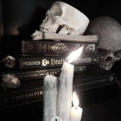 La reencarnación existe? | Gemelas Pollock