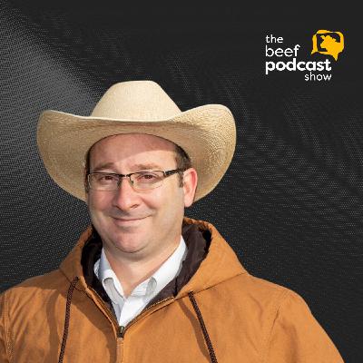 Dr. Nicolas DiLorenzo: Silage in Beef Cattle Diets | Ep. 145