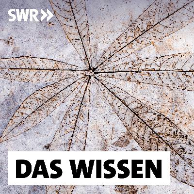 Beton neu denken – Wie wird der Baustoff nachhaltig?