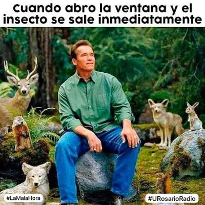 Buenos días, mi nombre es Rusell, soy un guía explorador Buenos días, mi nombre es Rusell, soy un guía explorador