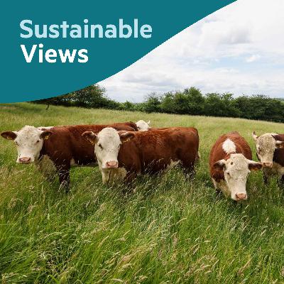 Why is the food system so hard to reform?