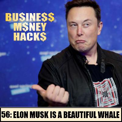 56: Elon Musk is a Beautiful Whale